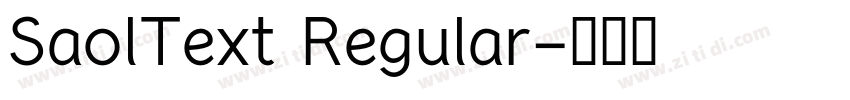 SaolText Regular字体转换
